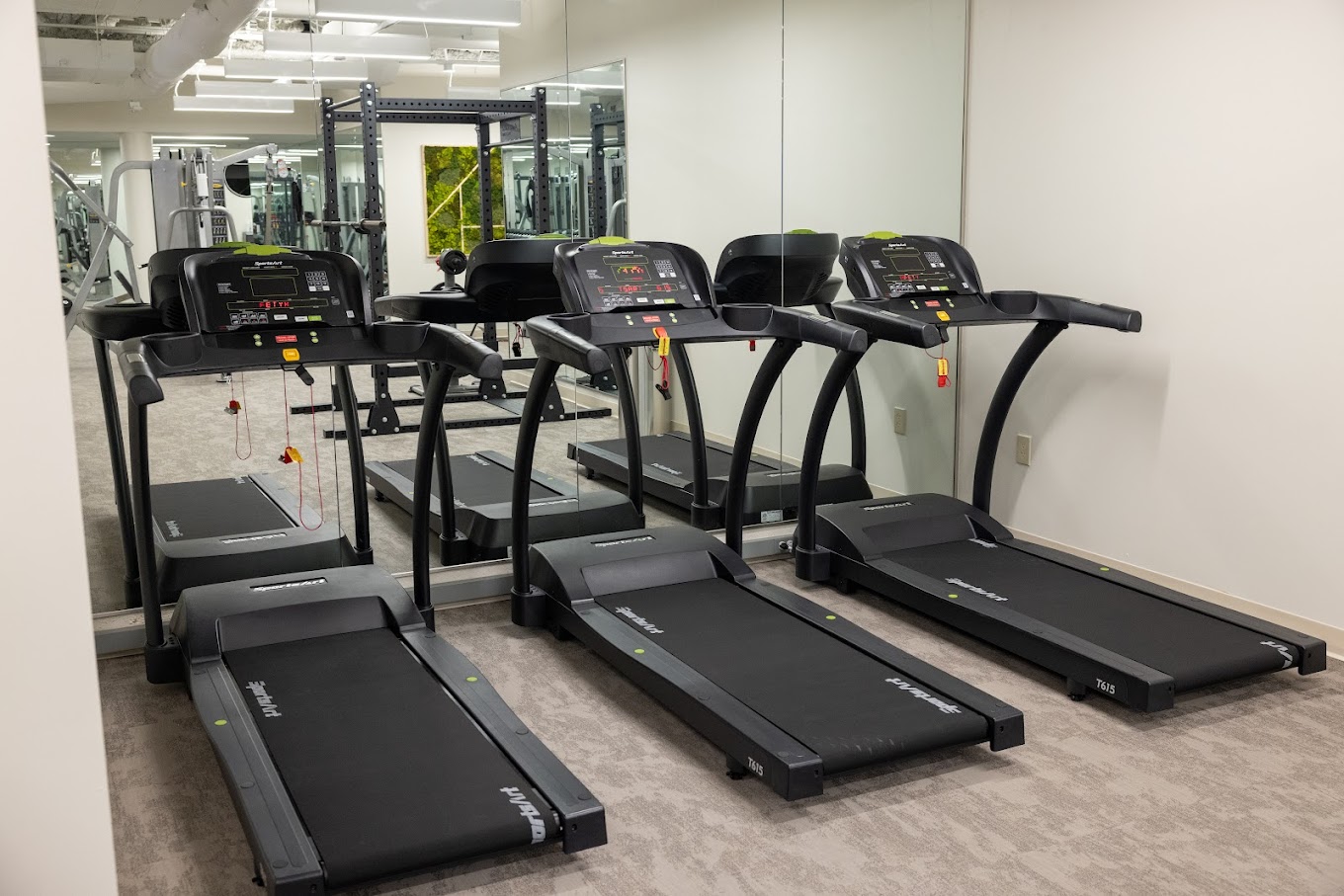 alpas wellness